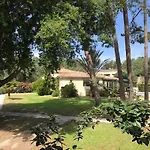 Prea Gianca 3*