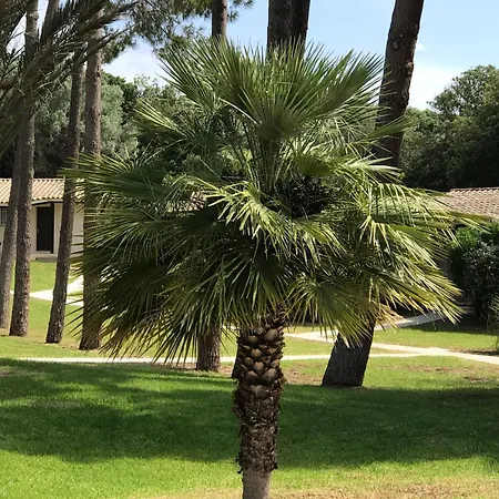 Prea Gianca Hotel Bonifacio (Corsica)